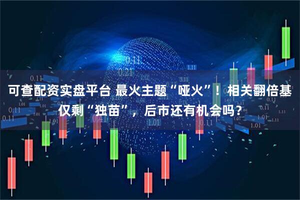 可查配资实盘平台 最火主题“哑火”！相关翻倍基仅剩“独苗”，后市还有机会吗？