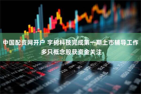 中国配资网开户 宇树科技完成第一期上市辅导工作 多只概念股获资金关注